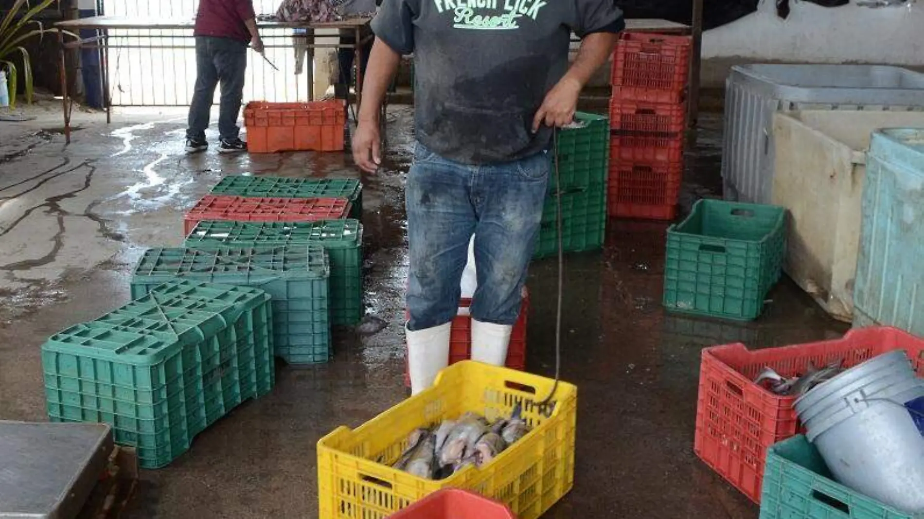 Pescadores Bahía de Kino